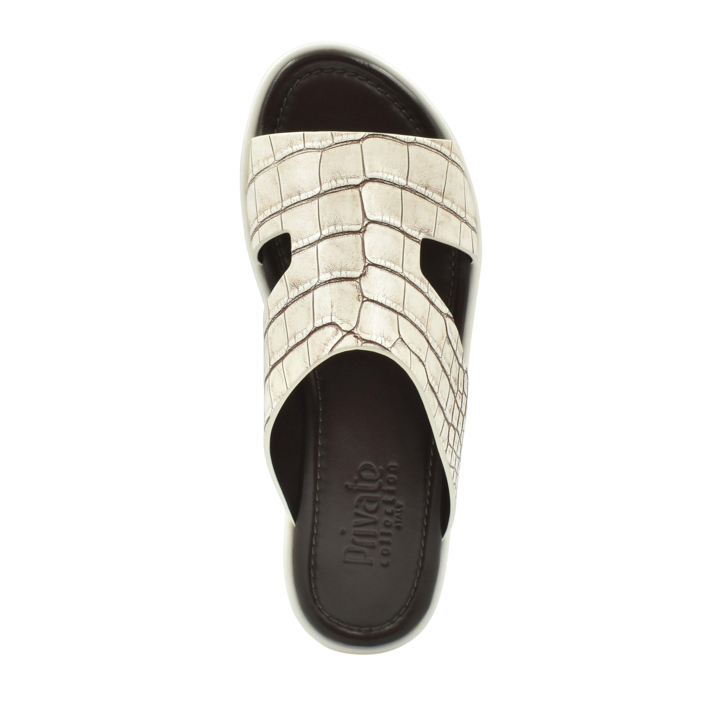 Western Arca Alligator Degrade Prestige