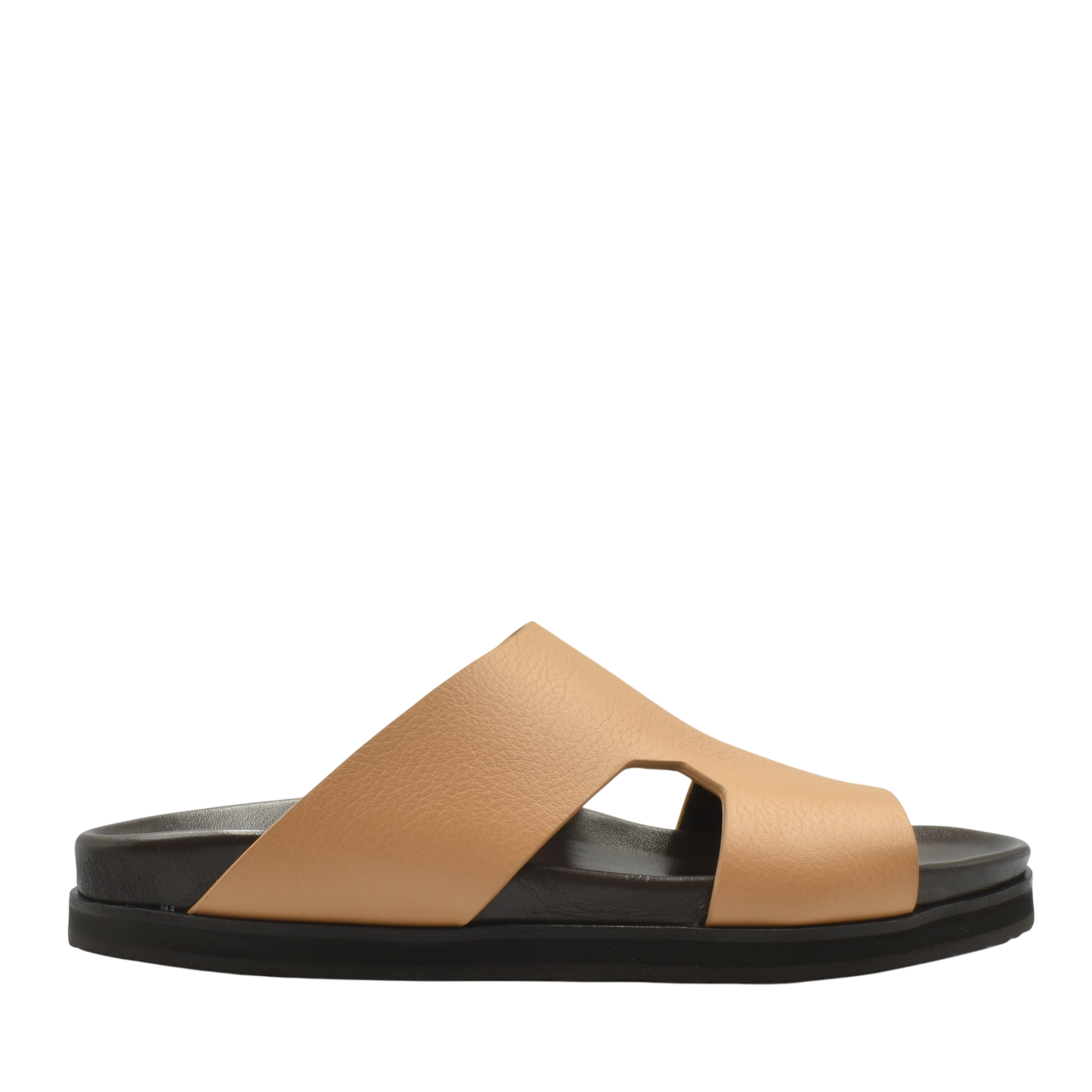 Amorti Arca Deercalf