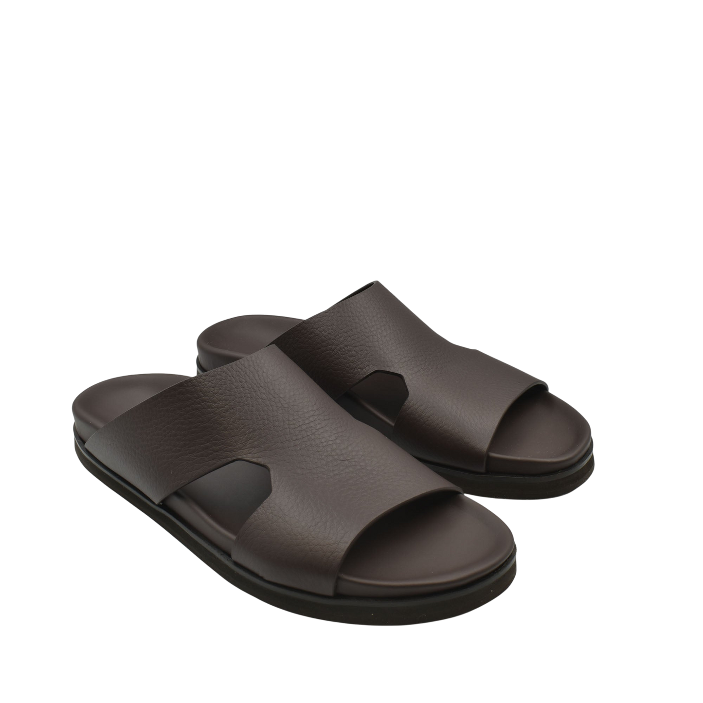 Amorti Arca Deercalf