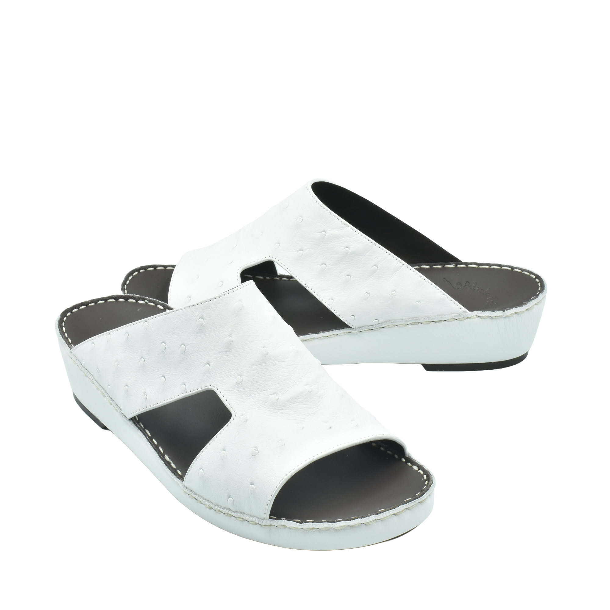 Arca Ostrich Naturale