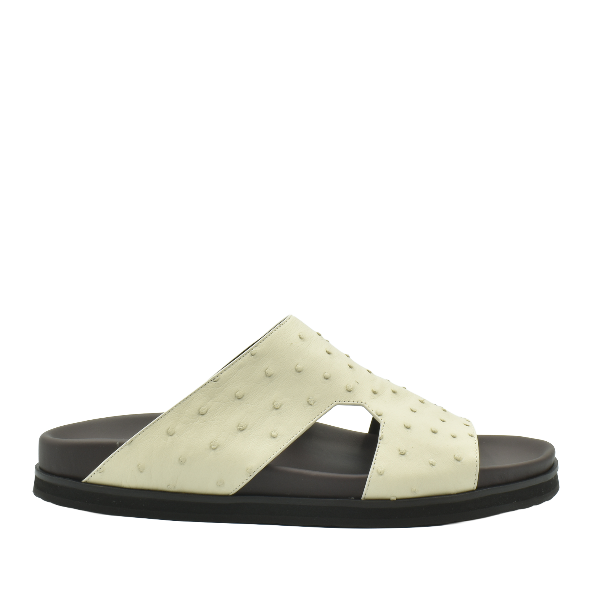 Amorti Arca Ostrich
