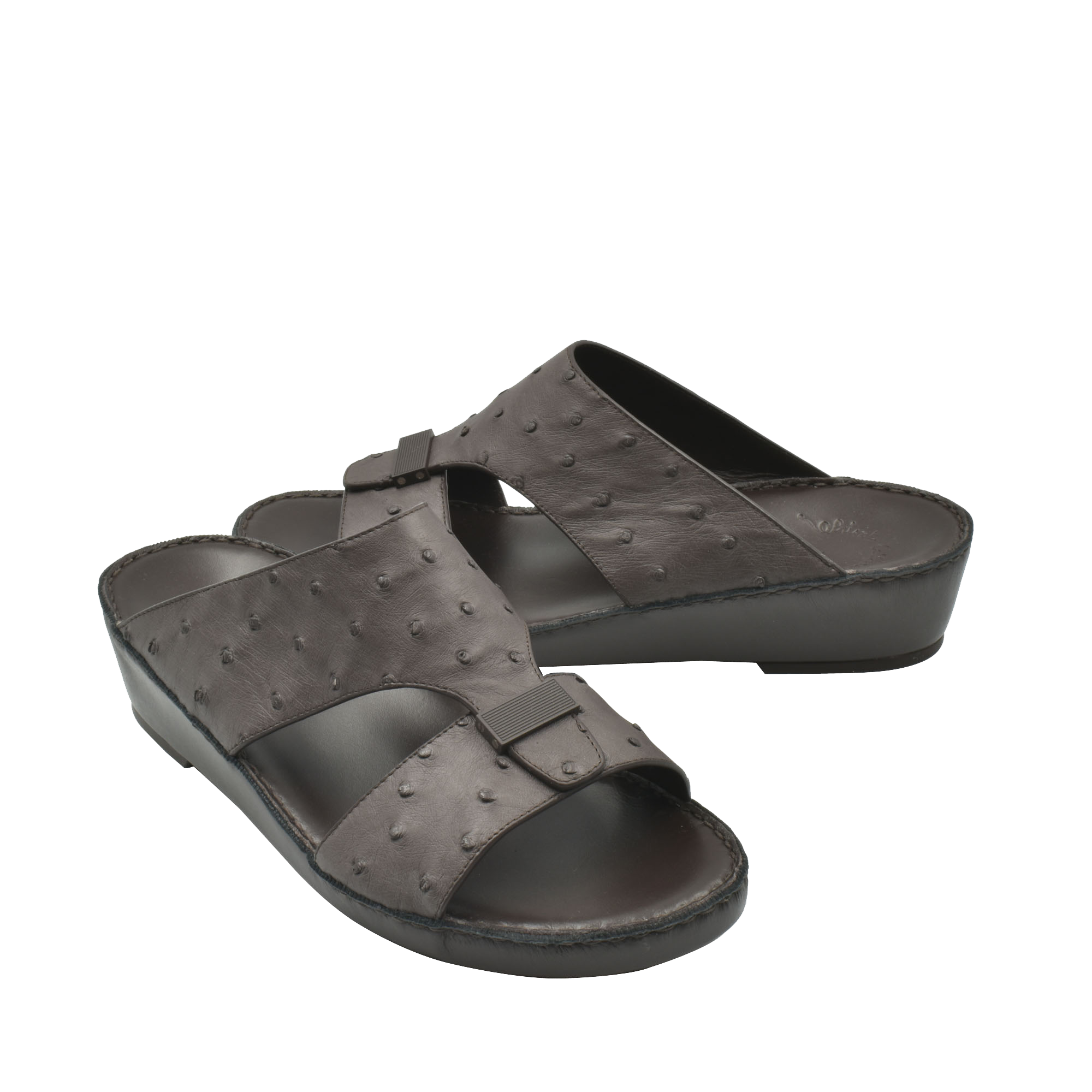 Cerchio Gomato Ostrich