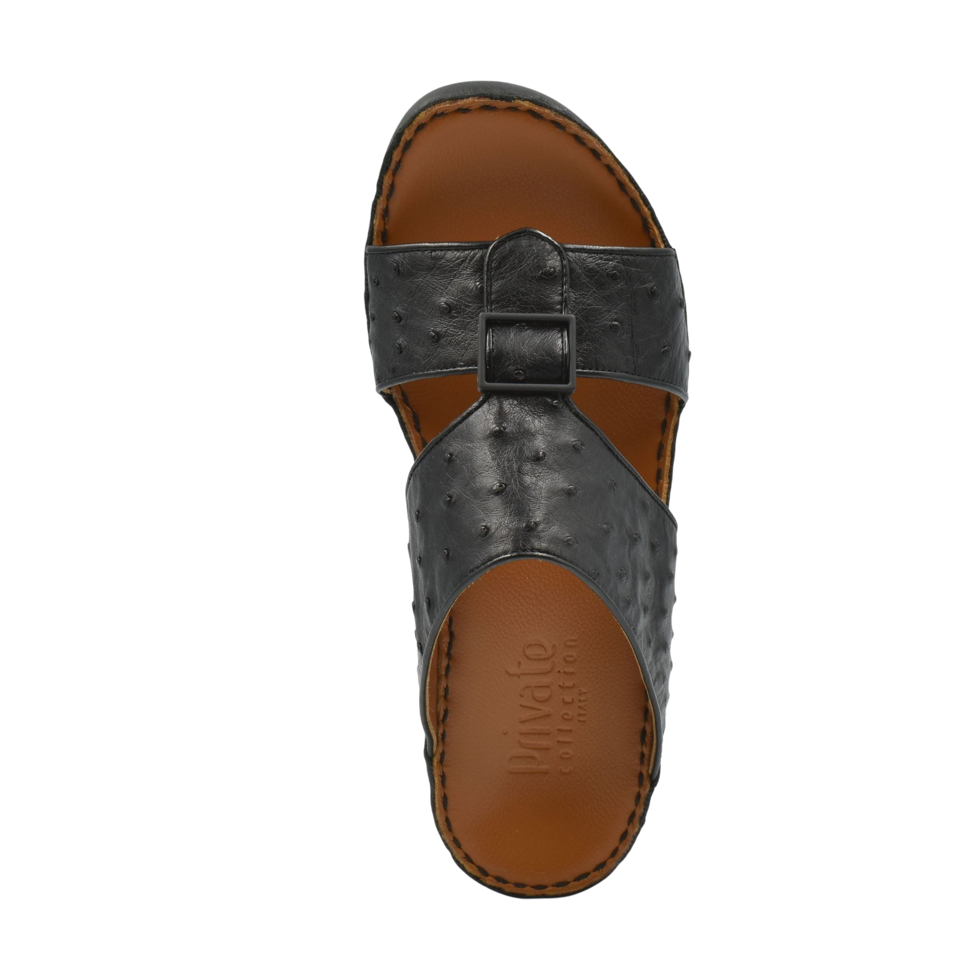 Quadratura Classica Ostrich