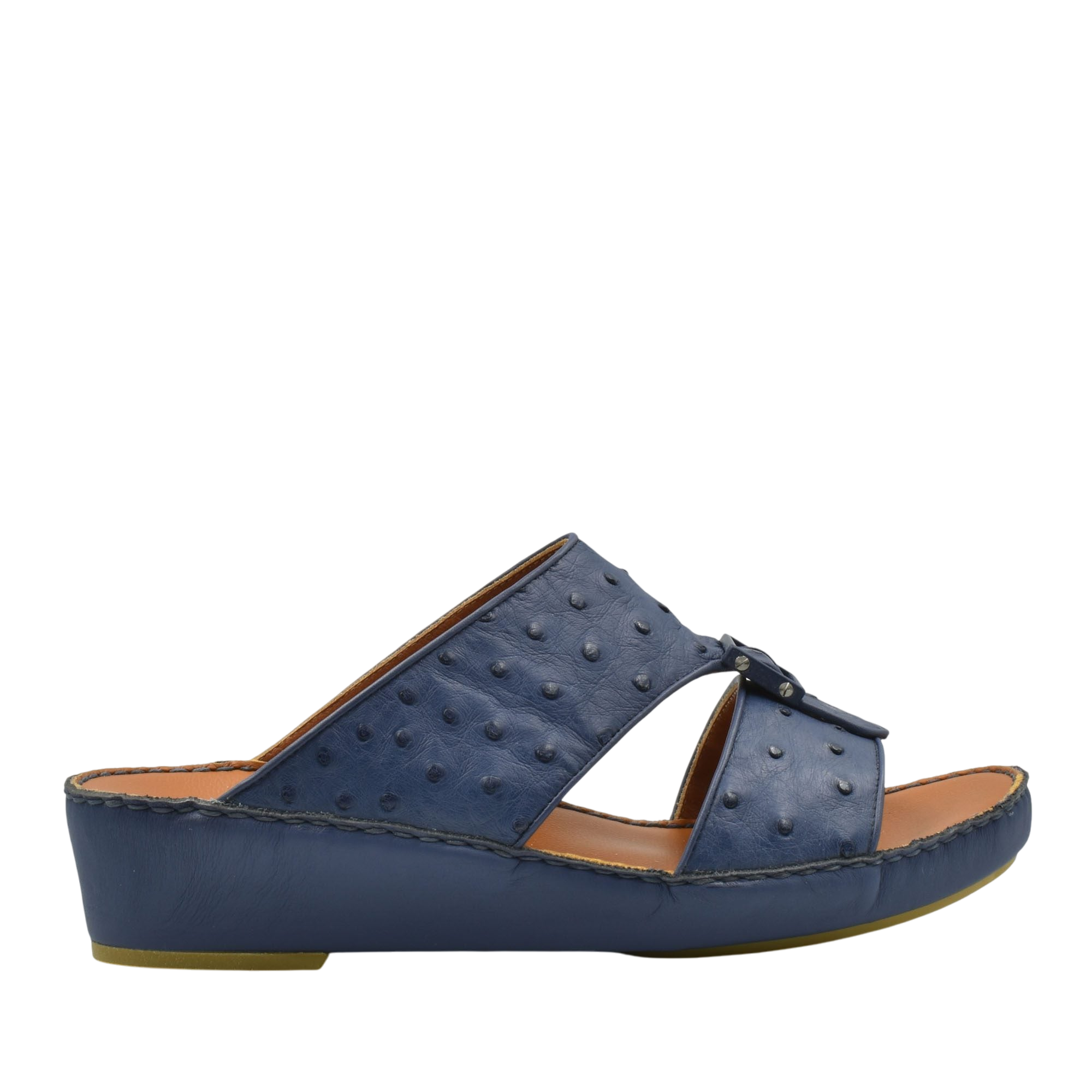 Quadratura Classica Ostrich