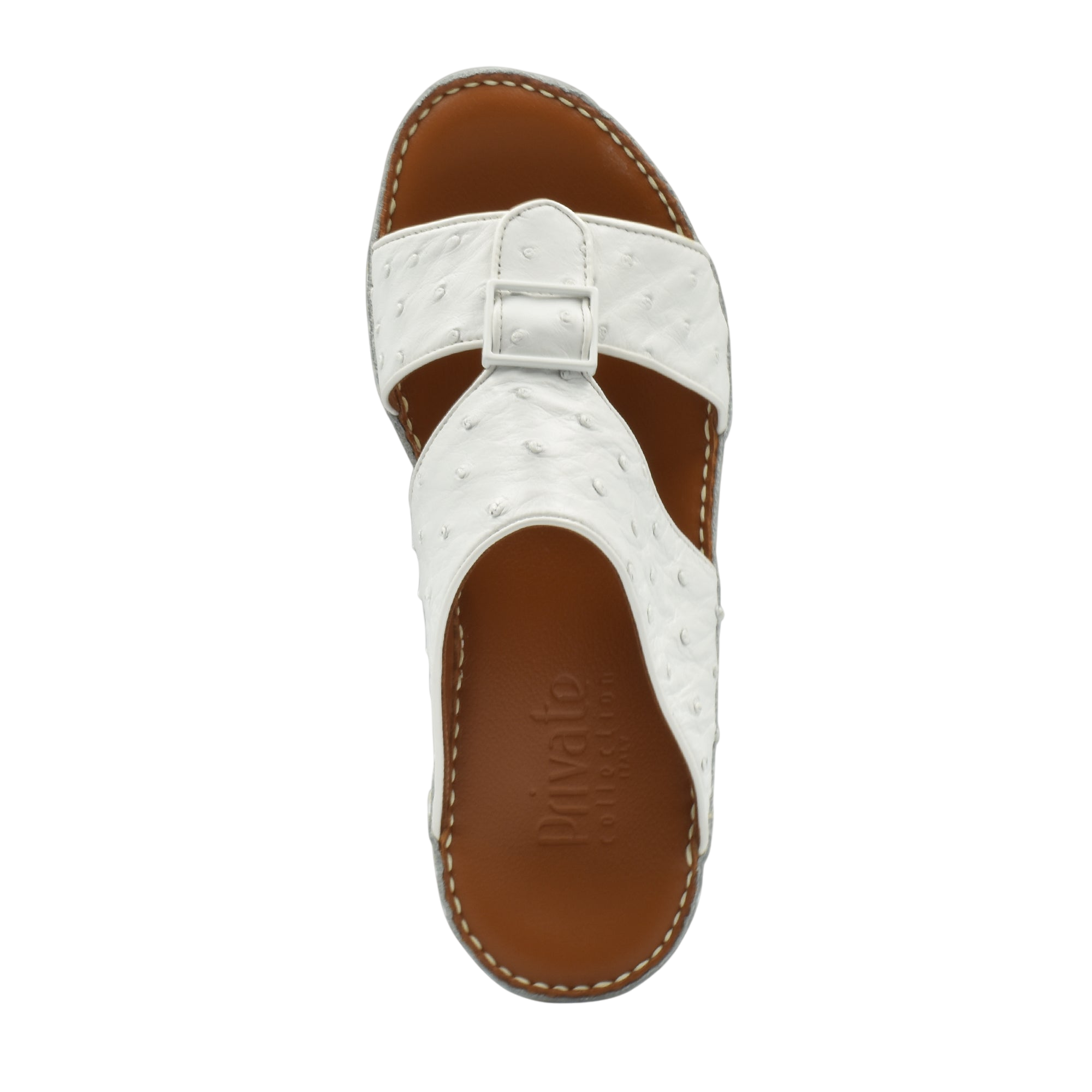 Quadratura Classica Ostrich