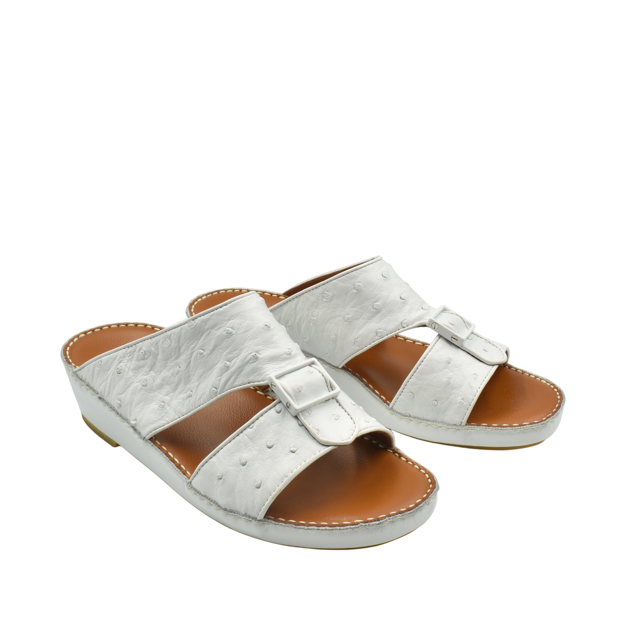 Quadratura Classica Ostrich