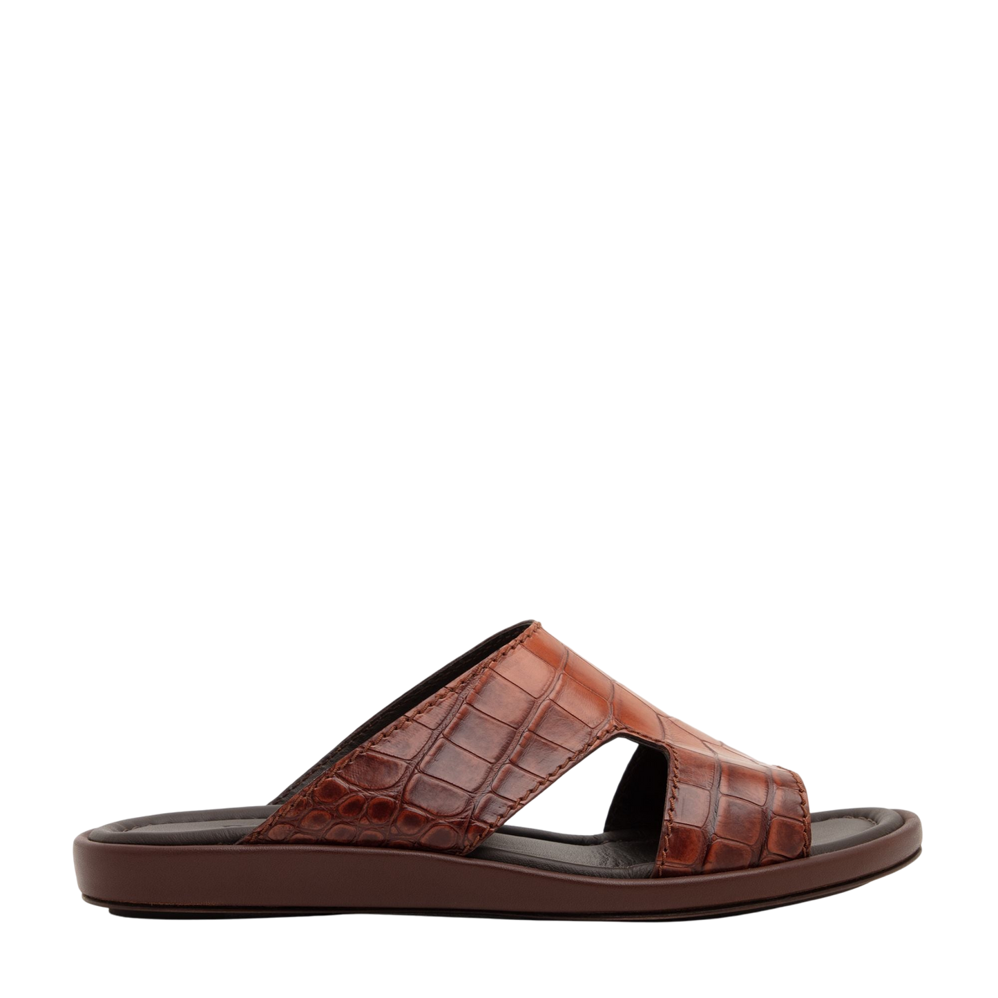 Western Arca Alligator Degrade Prestige