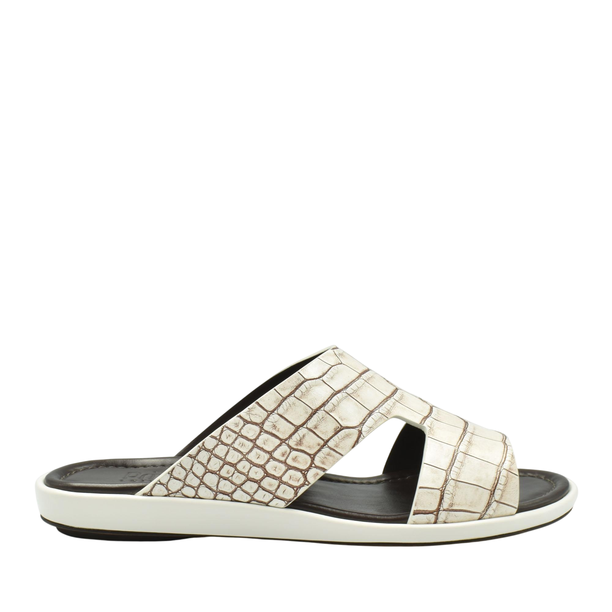 Western Arca Alligator Degrade Prestige