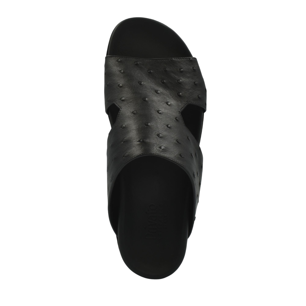 Amorti Arca Ostrich