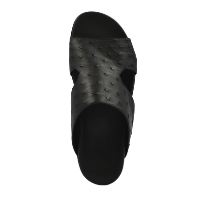 Amorti Arca Ostrich