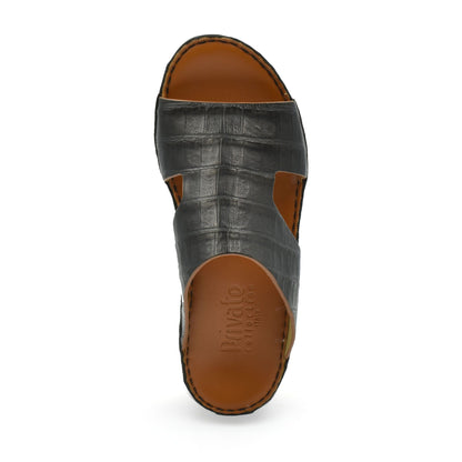 Arca Crocodile