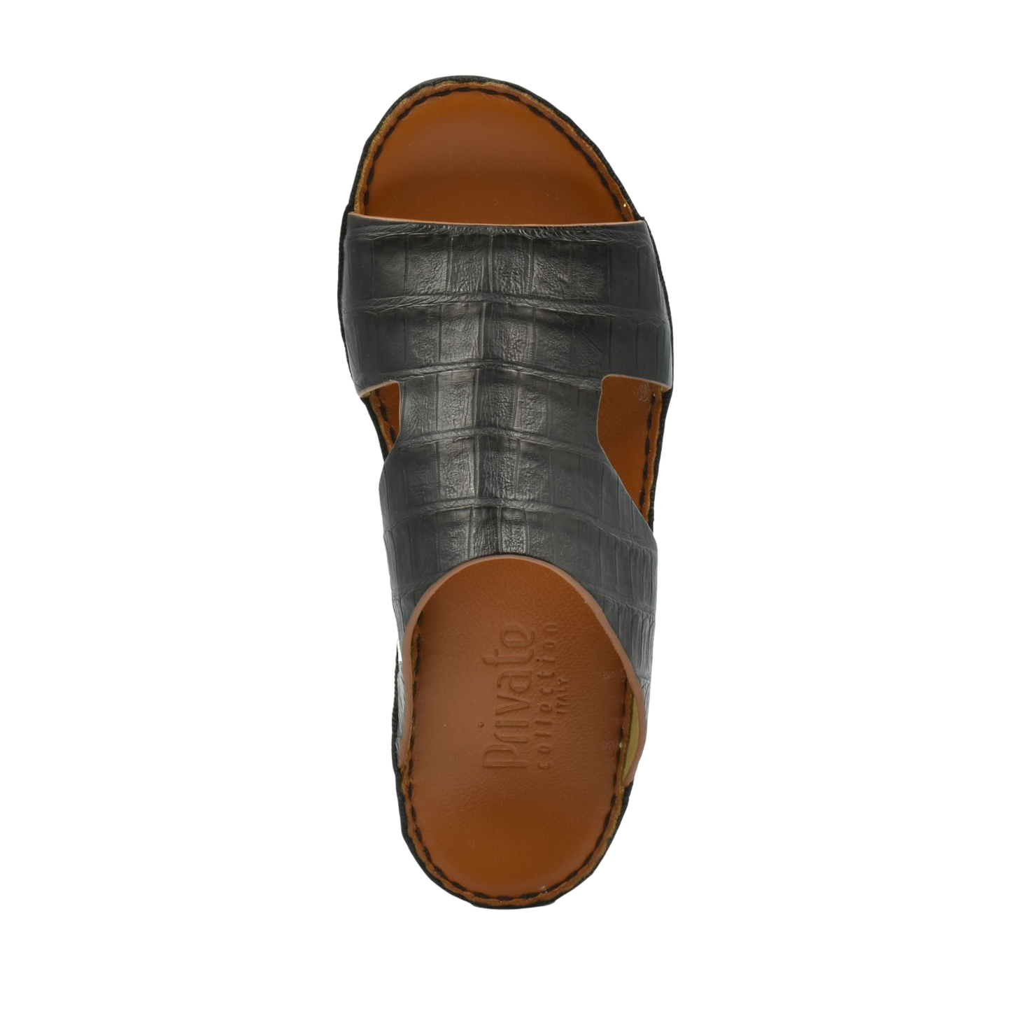 Arca Crocodile