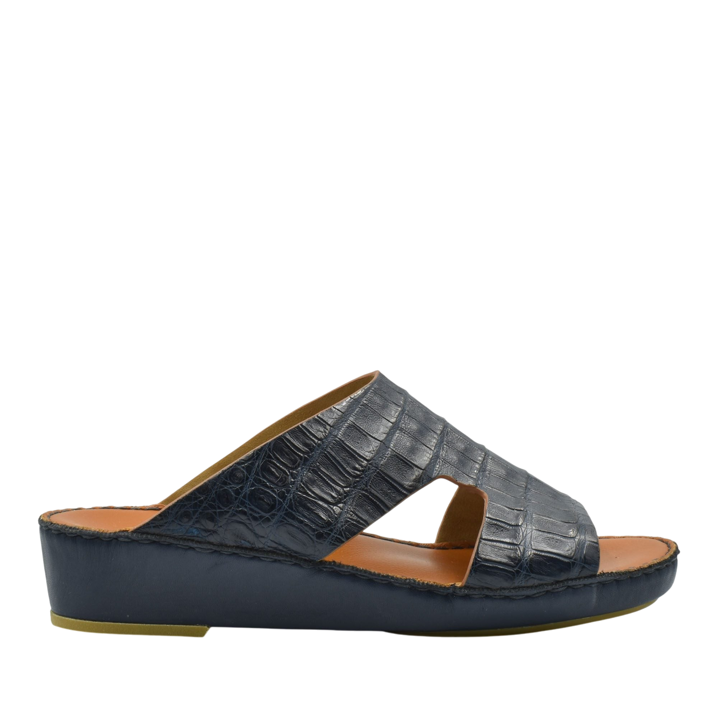 Arca Crocodile