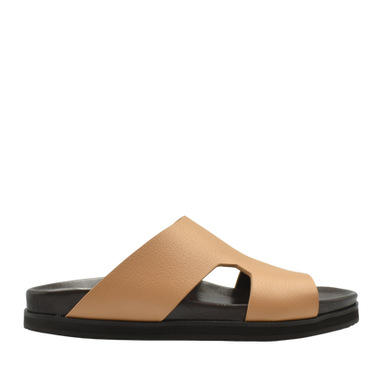 Amorti Arca Deercalf