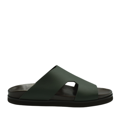 Amorti Arca Deercalf