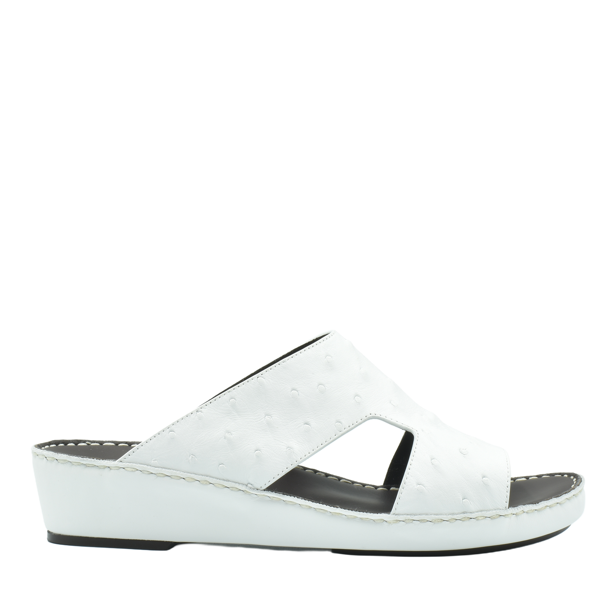 Arca Ostrich Naturale