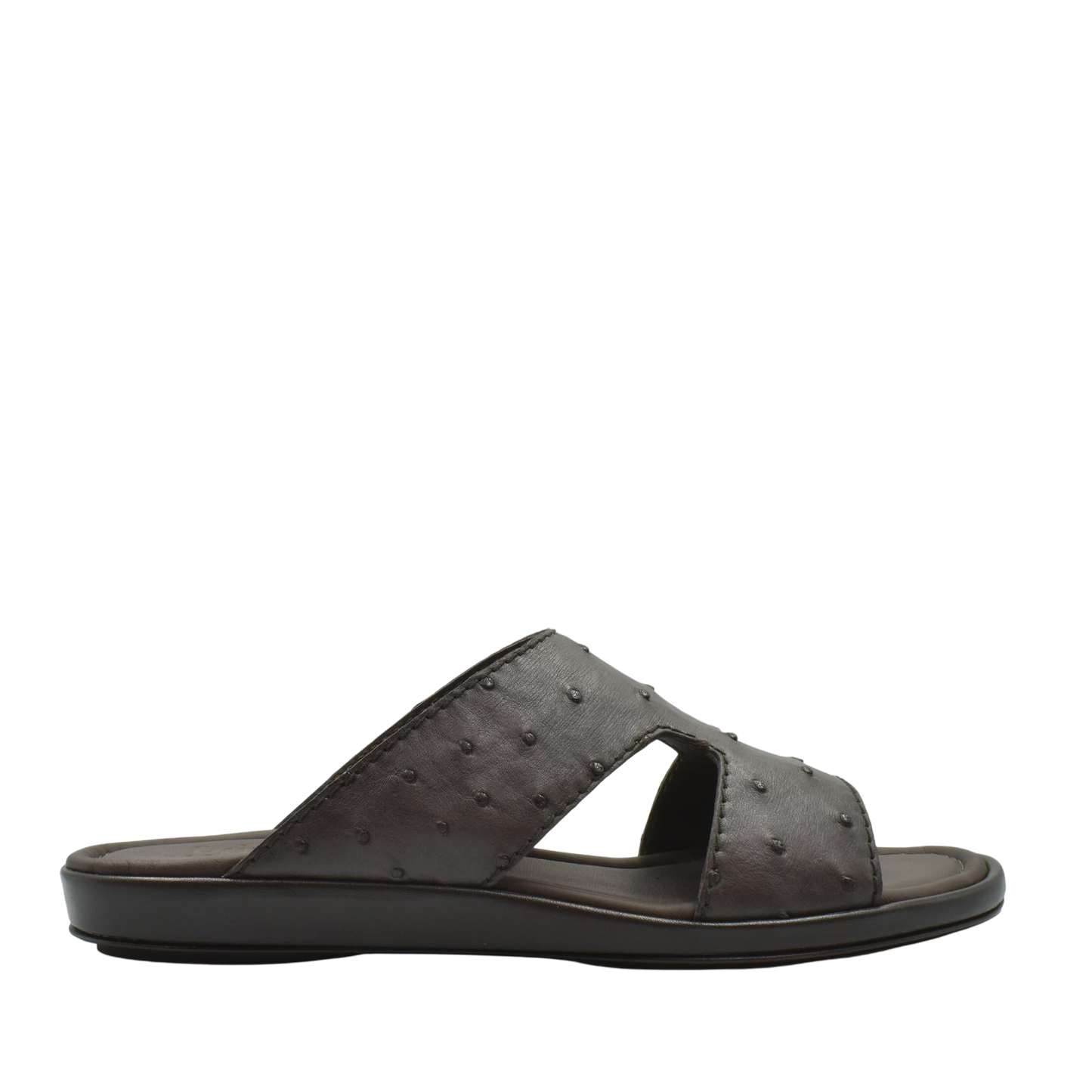 Prestige Arca Ostrich