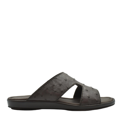 Prestige Arca Ostrich