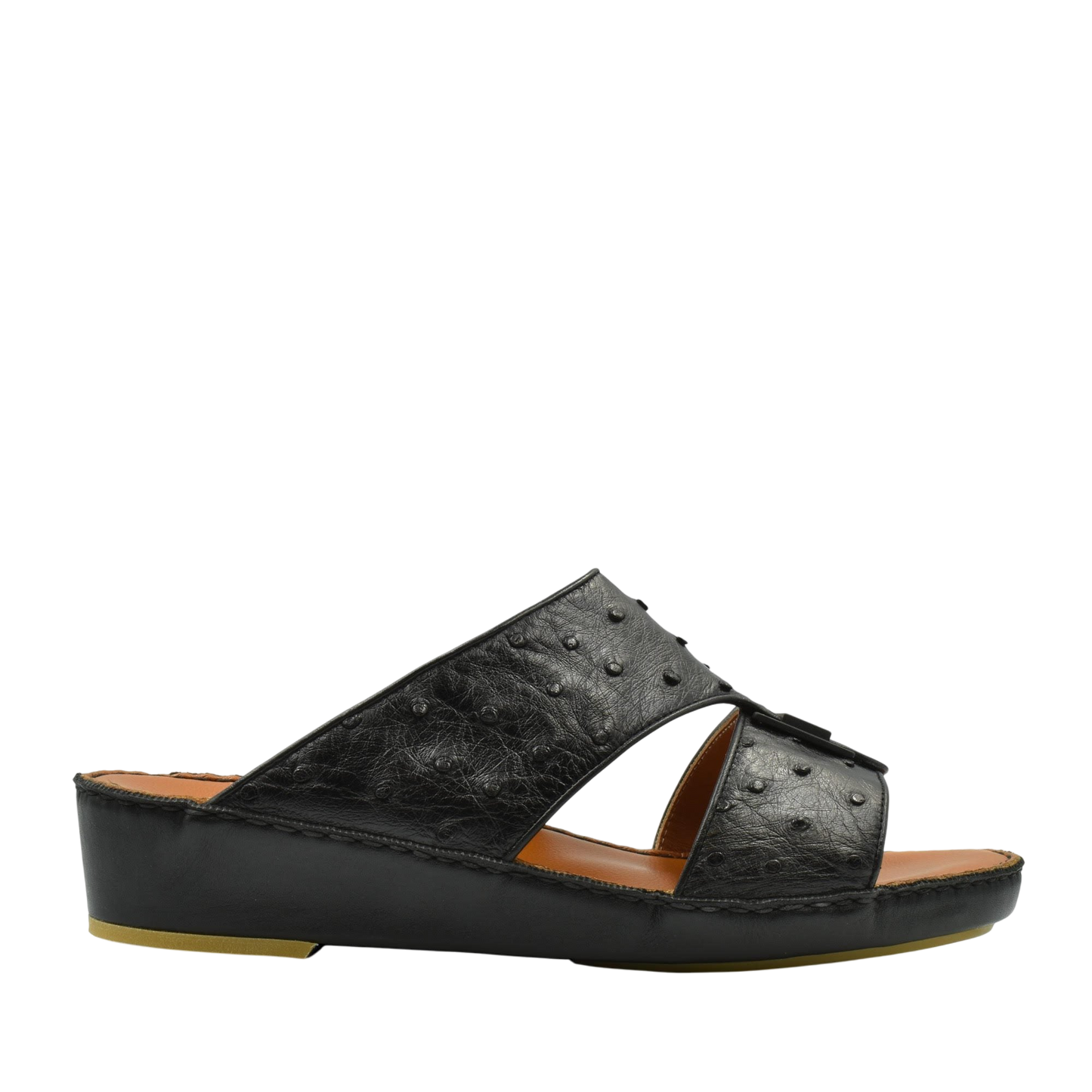 Manetta Ostrich