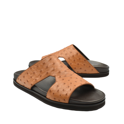 Amorti Arca Ostrich