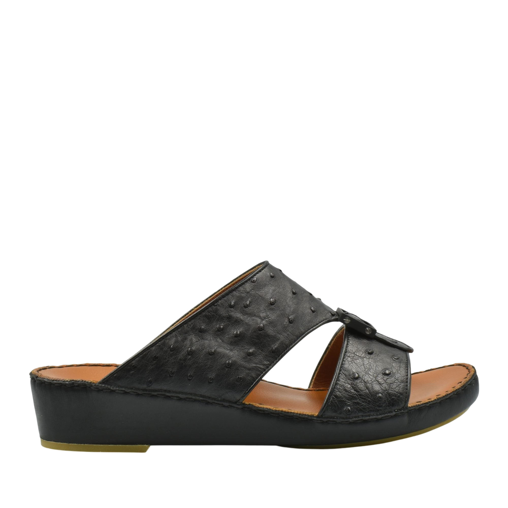 Quadratura Classica Ostrich