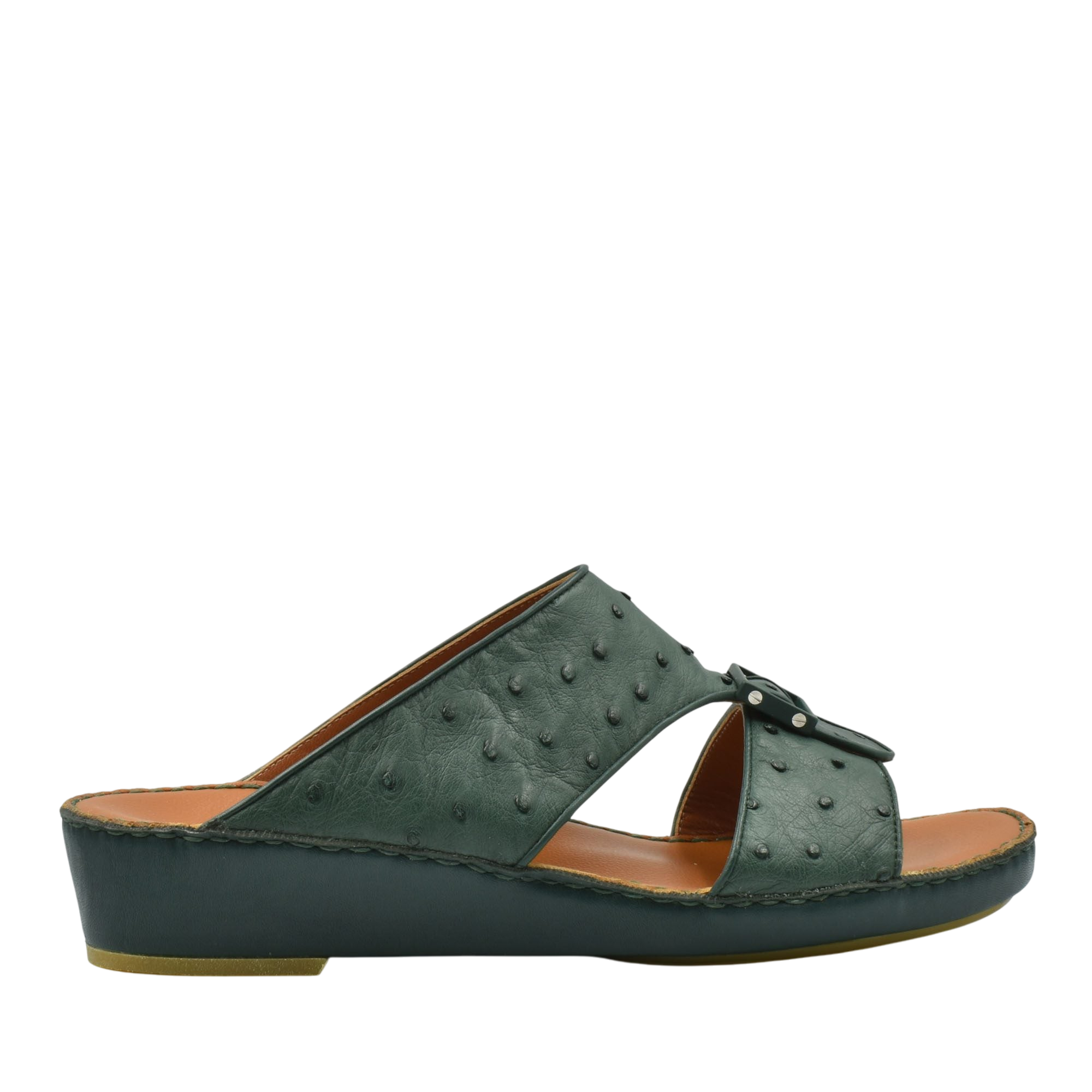 Quadratura Classica Ostrich