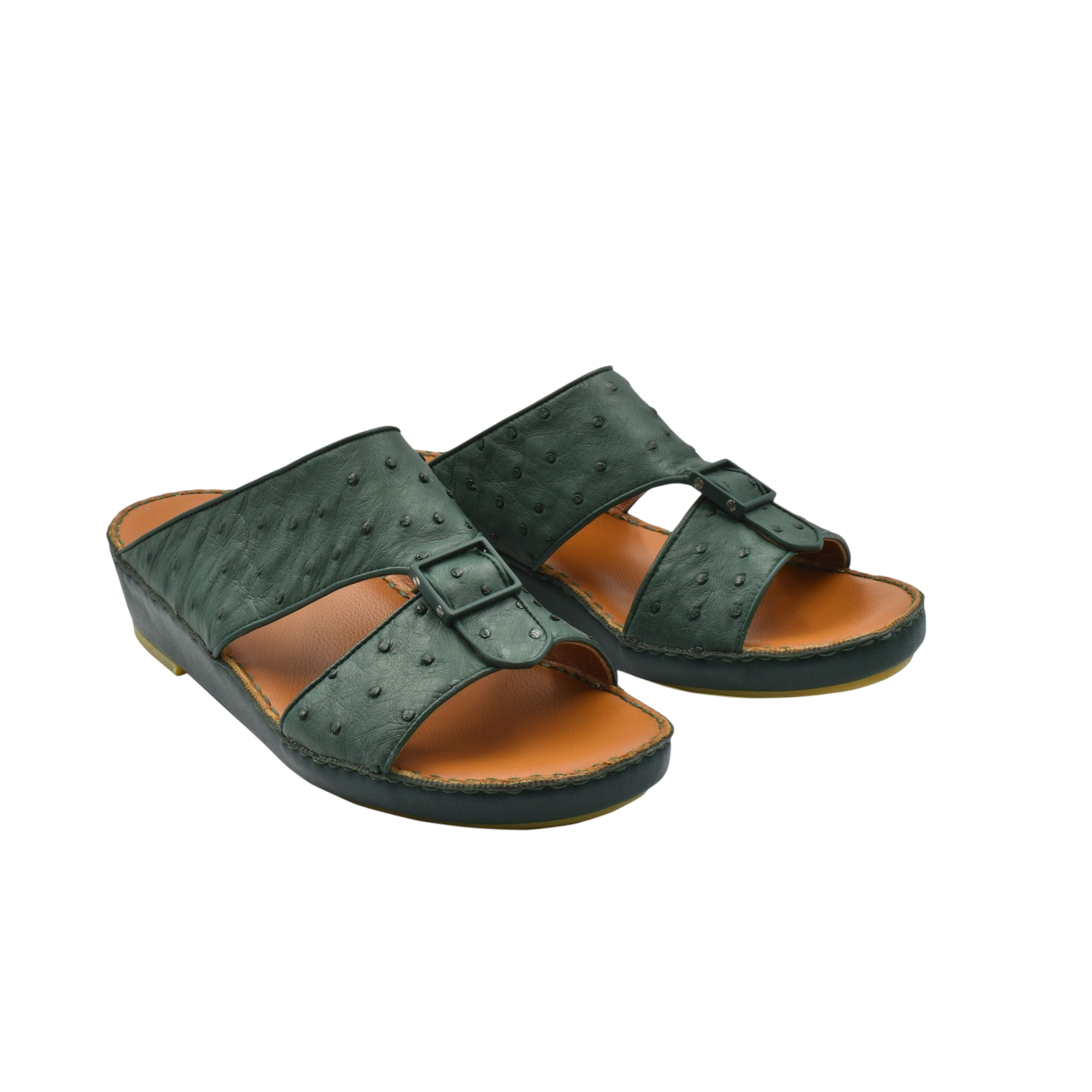 Quadratura Classica Ostrich