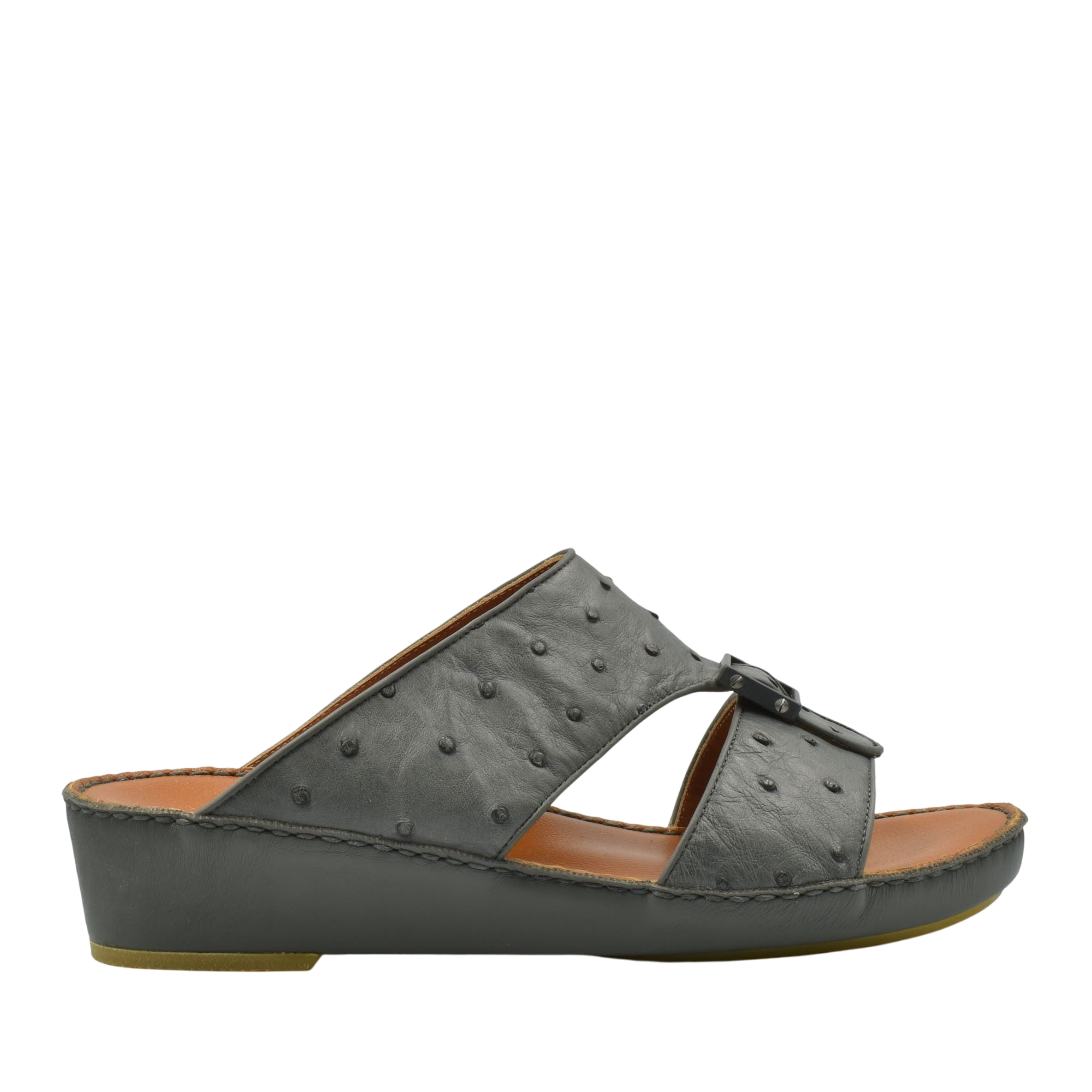 Quadratura Classica Ostrich