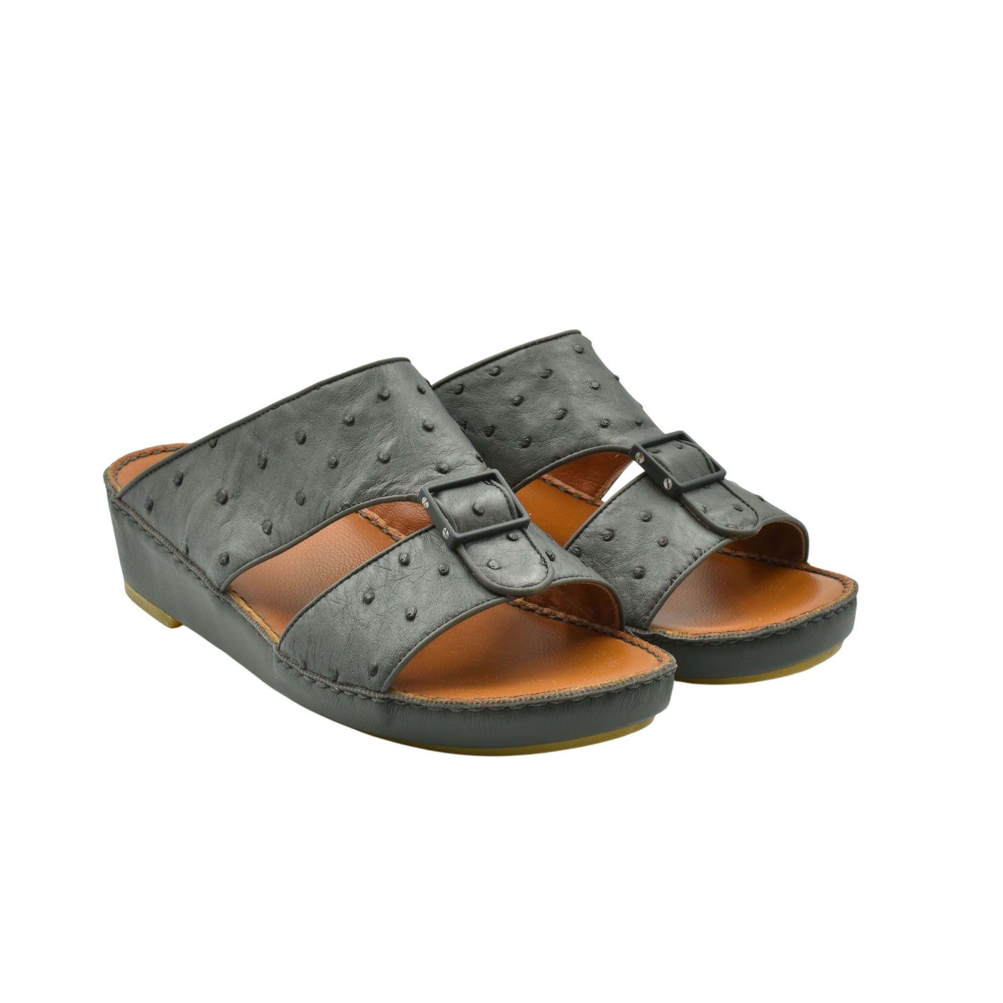 Quadratura Classica Ostrich