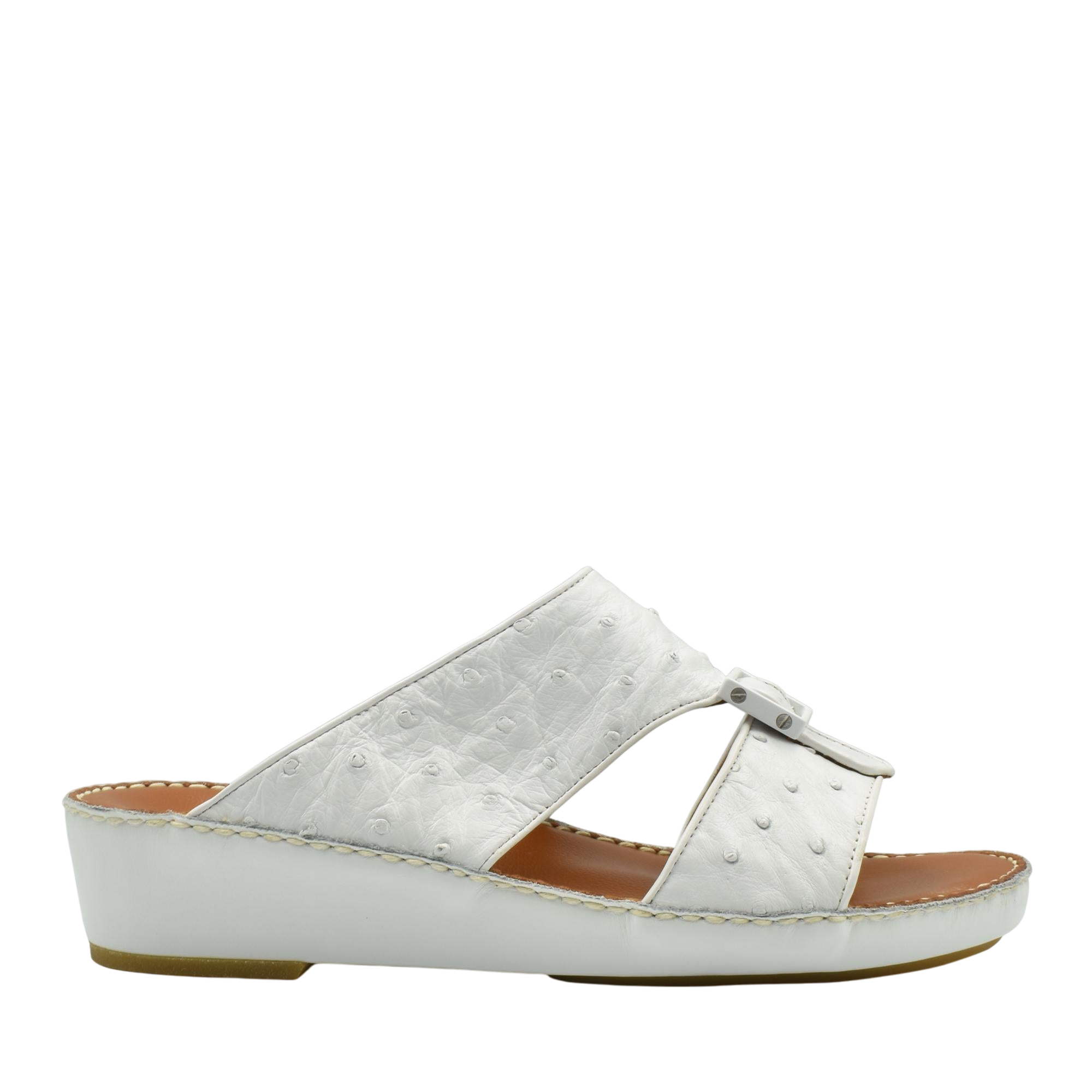 Quadratura Classica Ostrich