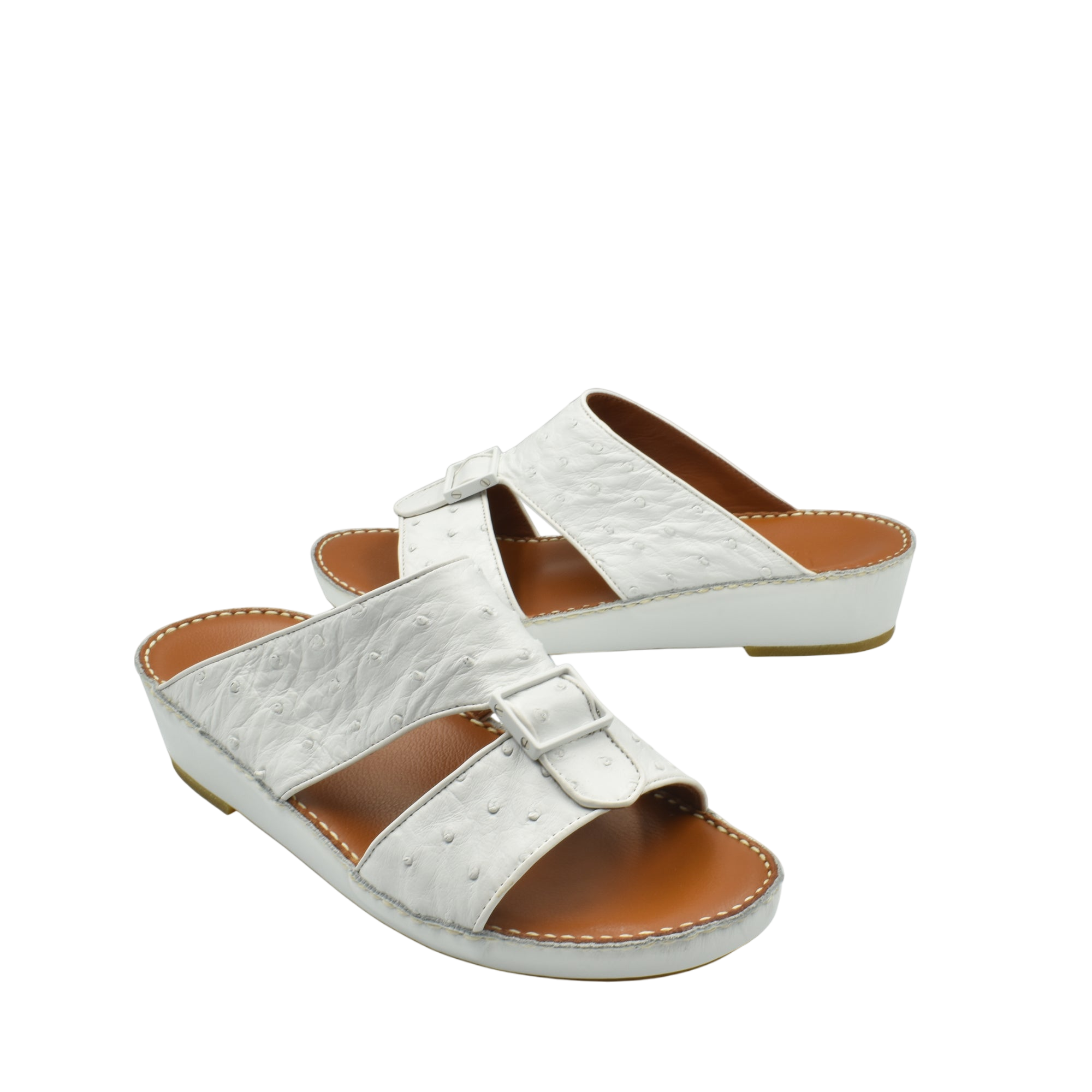 Quadratura Classica Ostrich