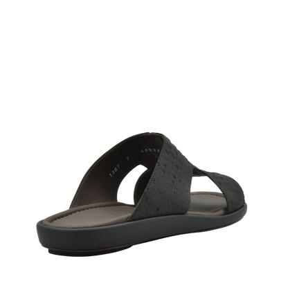 Western Arca Edredon