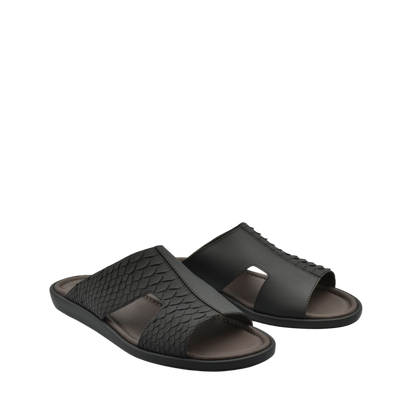Western Arca Edredon