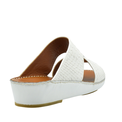 Manetta Python