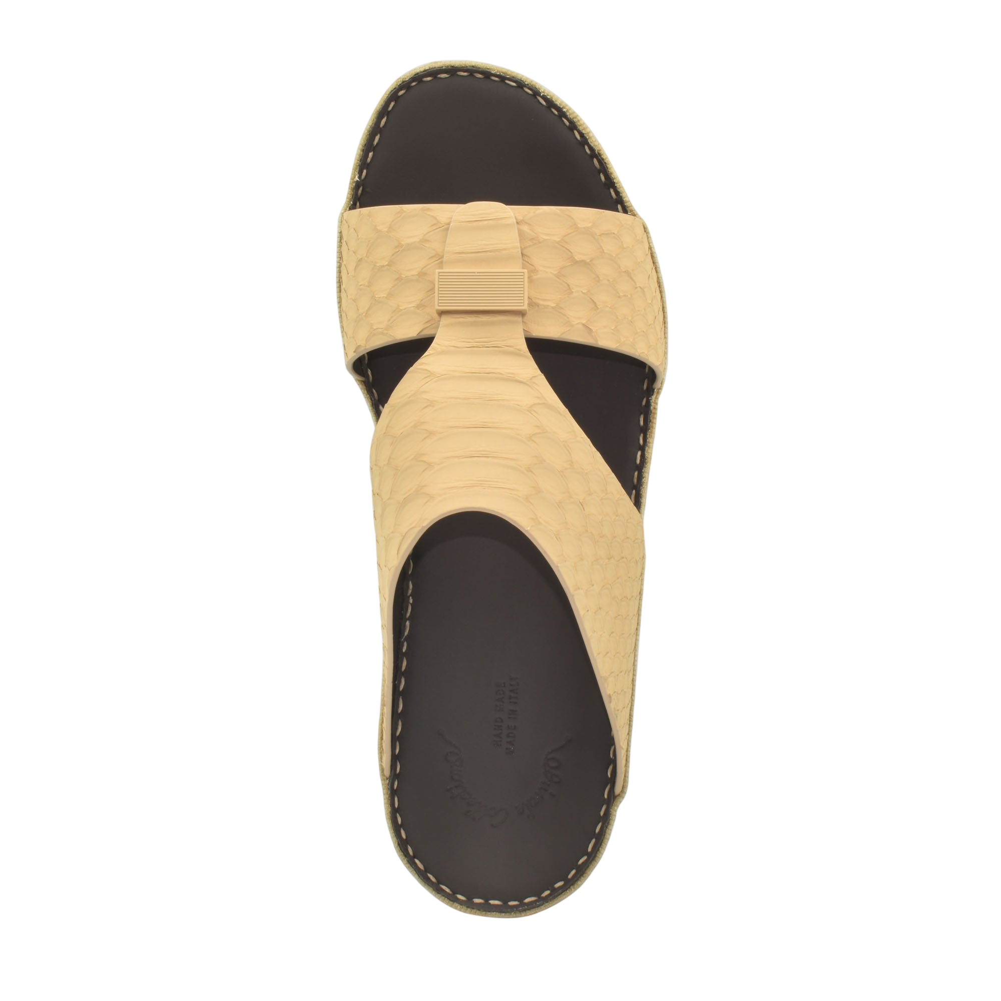 Cerchio Gomato Python