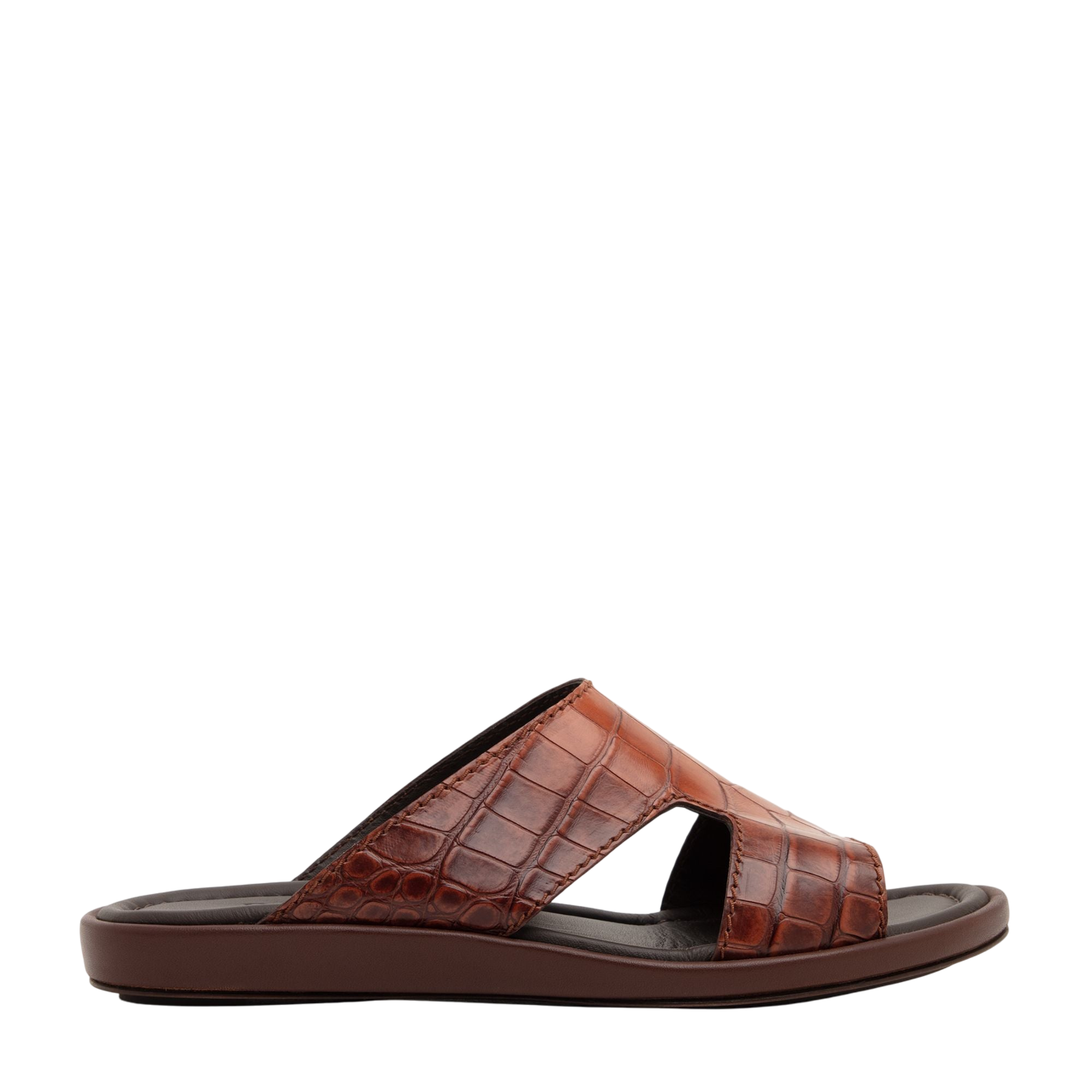 Western Arca Alligator Degrade Prestige